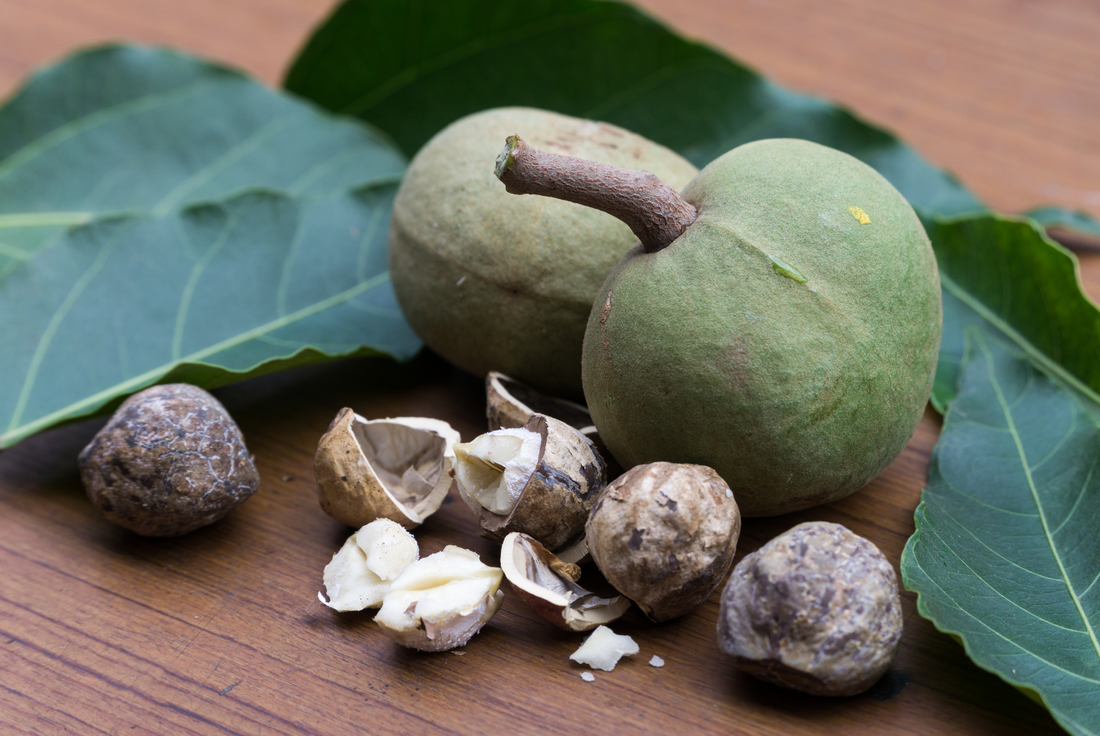 The Science of Kukui Nut Oil: Understanding its Composition and Skin Benefits